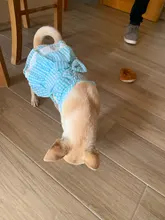 Dress Pet-Clothing Puppy-Cat-Dresses Chihuahua Princess Yorkshire Dogs Small Medium 