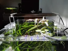 Led-Lighting Aquarium Chihiros Fish-Tank Aquatic-Plant Sunsun Ade Nicrew SMD 18W 220V