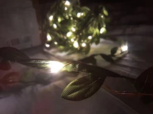 Tiny leaf garland fairy light decor LED Copper Wire string lights for Wedding forest