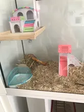 Wood-Plastic-Board Hamster House Pet-Hideout Chinchilla Pet-Supplies Guinea Small Non-Toxic