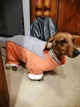 Winter Overalls for Dogs Warm Waterproof Pet Jumpsuit Trousers Male/ Female Dog Reflective