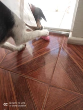 KONG todas las series y todos los tamaños para cachorros, Wobbler, perro y gato, juguete de neumáticos, goma Natural duradera, diversión para morder, Chase y Fetch