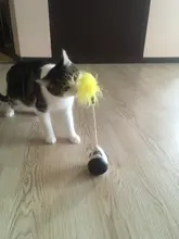 Vaso Swing juguetes para gatos gato interactivo equilibrio coche gato juguete de persecución con Catnip para mascotas productos para Dropshipping. Exclusivo.