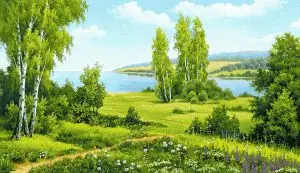 

Birch edge (62x35) in a single frame