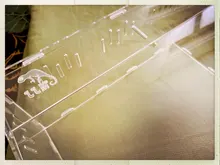 Caja acrílica de araña, hormiga, lagartija, Rana, Tortuga, Gecko, caja de alimentación para reptiles, Uds.