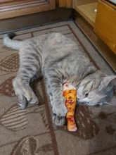 Backpack Dog Pet-Bag Carrying-Bags Shoulder-Dog-Cat-Carrier Travel Portable Mesh Front