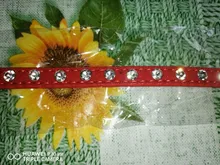 Necklaces-Accessories Collar Puppy-Products Chat Kitten Kota Small Traumdeutung for Pet-Dog