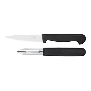 

Knife Set Amefa Polypro (2 pcs)