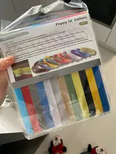 Collar de identificación para cachorros y gatitos, 12 Uds.