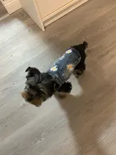 Ropa vaquera de XS-2XL para perro, abrigo para perros, ropa de cachorro, pantalones vaqueros para perro, chaqueta, chaleco abrigo para perro, trajes para cachorro, ropa para gato