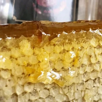 

Honey comb