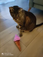 Squeaky Pet Cat Toys for Cats Catnip Plush Cat Toy Plush Kitty Katten speelgoed gatos