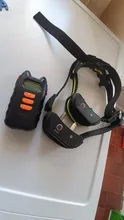 Collar de entrenamiento eléctrico para perro, USB, antiladridos, Control remoto para mascotas, resistente al agua, recargable, sonido de vibración de todos los tamaños