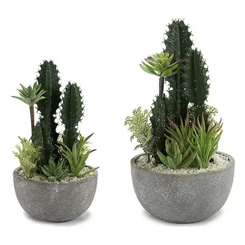 

Cactus Cactus (17 x 30 x 17 cm)