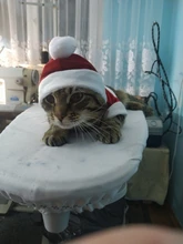 Costume Jackets Yorkie-Outfit Cat-Clothing Puppy Small Dogs Coat Hooded Pet-Dog Winter Dog