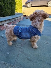 Coat Vest Jeans Puppy-Clothing Jacket Dog Pet-Dog Cowboy Denim XS-2XL for Small Dogs