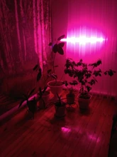 Phyto-Tape Flowers Seed-Plants Grow-Light Greenhouses Strip-0.5m USB Full-Spectrum 2835