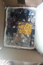 Incubator-Equipment Motor-Turn-The-Eggs-Motor 220V/110V Fitting DC AC 1pcs 50/60hz 12V