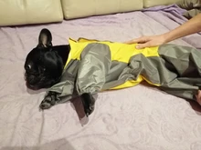 Mono impermeable para perro mascota, ropa impermeable para exteriores, mono con capucha para perros pequeños y grandes, capa impermeable, Bulldog francés