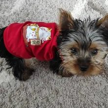 Ropa de perro para perros pequeños estampado bonito verano mascotas camiseta perro ropa chaleco para gatos mascota de algodón de T camisa Pug ropa trajes