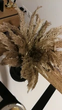 Pampas-Grass Reed Flower Wedding-Decoration Bunch Light-Color Natural Dried Christmas
