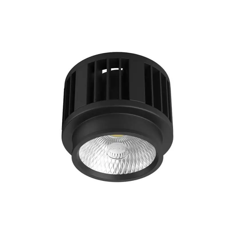 LED модуль с драйвером Denkirs DK3060 DK3060-BK |