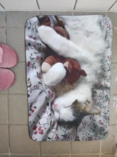 Floor-Mats Kitchen-Carpets Bathroom Welcome Anti-Slip Animal Cat Kawaii Living-Room Cat-Printed