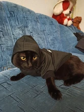 Cat Clothes Pet Cat Coats Jacket Hoodies For Cats Outfit Warm Pet Clothing Rabbit Animals