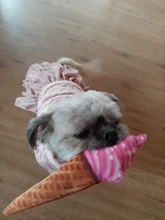 Hueso de carne forma de perro de mascota Squeaker Juguetes Para masticable para perros cachorro gato juguete accesorios de mascotas interesante Zabawki Dla Psa Kedi Malzemeleri