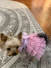 Dress Sling Puppy-Costume Pet-Dog Lace Small Dog Wedding for Party Birthday Bowknot