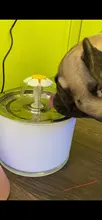Drinking-Bowl Auto-Feeder CARBON-FILTER Water-Dispenser Water-Fountain Cat Automatic