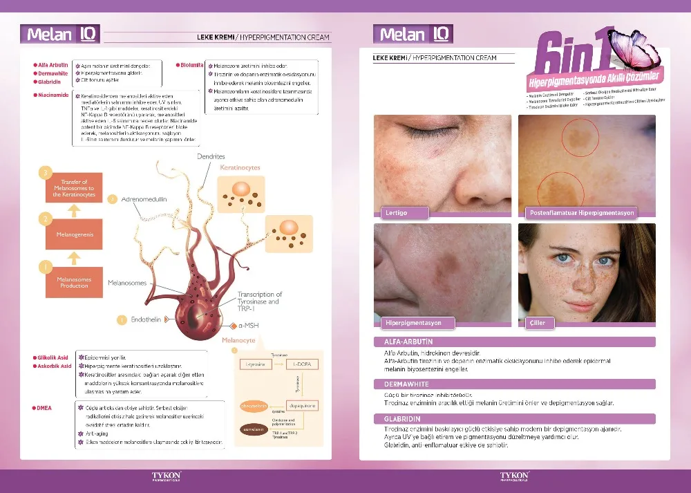 Melan-IQ-Broşür-İç
