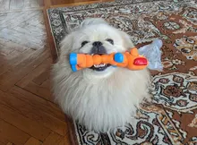 Chew-Toys Pets-Supplies Rubber Puppy Pet-Play Dogs Animal-Shape Squeaky HOOMIN Sound-Toy