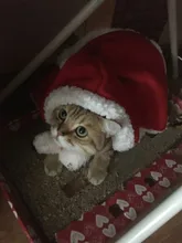 Pet Dog Cat Costume Christmas Antlers Hat Cloak Halloween Disguise Clothes For Cats Small