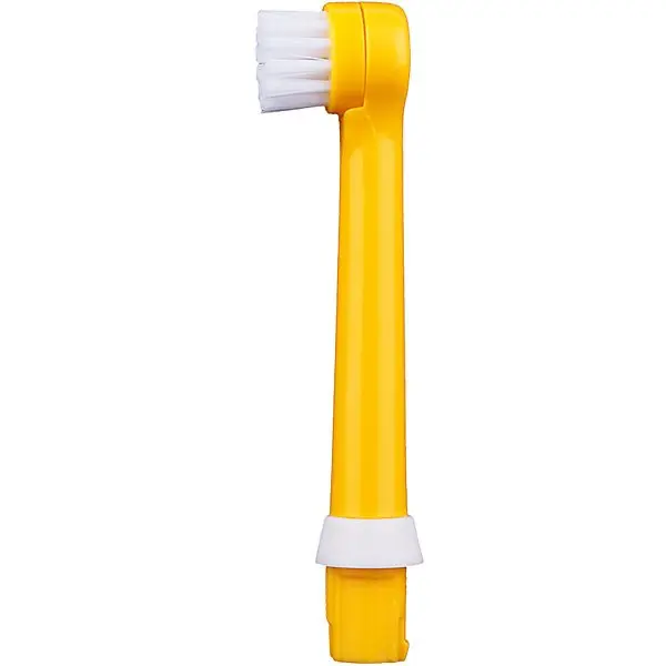 Насадки CS Medica RP-62-G для зубной щетки CS Medica Kids CS-462-P, 2 штуки, оранжевые