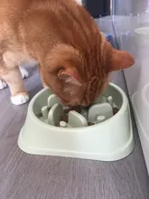 Bowl Food-Plate Slow-Feeder Anti-Choking Pet-Dog Puppy-Cat-Eating Plastic New