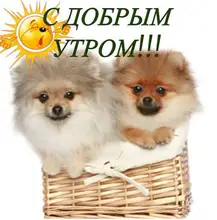 Rubber-Pad Door-Stopper Door-Fender-Stickers Modelling Self-Adhesive Protect-The-Wall