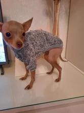 Clothing Sweater Pet-Outfit Small Dogs Classic Soft Winter For Dog Chihuahua Ropa Perro
