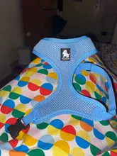 Harness Collar Puppy Walk-Vest Pet-Dog Truelove Small Pets Nylon Breathable Mesh Cat