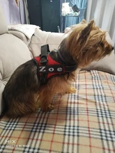 Dadugo-arnés para perro personalizado, etiquetas reflectantes, arnés de mascota ajustable para cachorro, animales medianos y grandes, envío directo