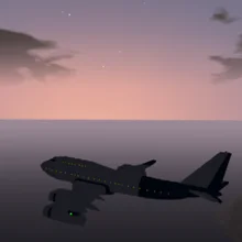 C***G