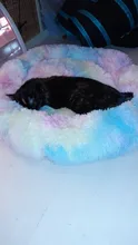 Cama de Gato supersuave, 14 colores, redonda, mullidas de gato, cesta para dormir, larga felpa, cálida, alfombrilla para mascotas, perrera ligera de tacto cómodo