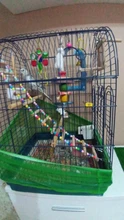 Parrot Ladder Toys Perch-Stand-Holder Bird-Cage Climbing-Stairs Hamsters Rocking-Scratcher