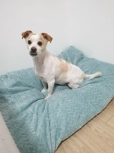 HOOPET Pet Dog Mat Soft Pillow Bed For Dogs Soft Flannel Thickened Pet Soft Fleece Pad