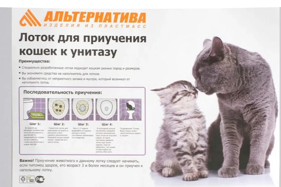 Туалет для приучения кошек к унитазу 39,2 х 38,7 х 3 см, белый | AliExpress