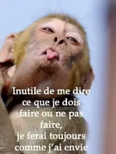 Funda para cambiador de bebé, cubierta transpirable para mesa de bebé, guardería