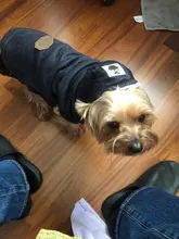 Pet-Dog-Clothes Jackets Coat Pets-Products Puppy-Cat-Clothing Pug-Outfits Small Dogs