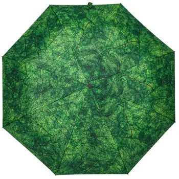 

Umbrella folding Evergreen