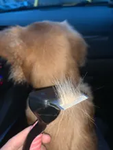Peine para quitar el pelo de mascotas, cepillo de pelo medio corto para perros, accesorios de cepillo de belleza, herramienta de aseo para gatos