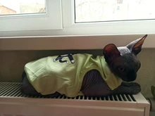 Ropa de verano para mascotas, Camiseta con estampado de flamenco para perro, chaleco para perros pequeños y medianos, accesorios para mascotas, chaleco para gatos, camisas, XS-2XL